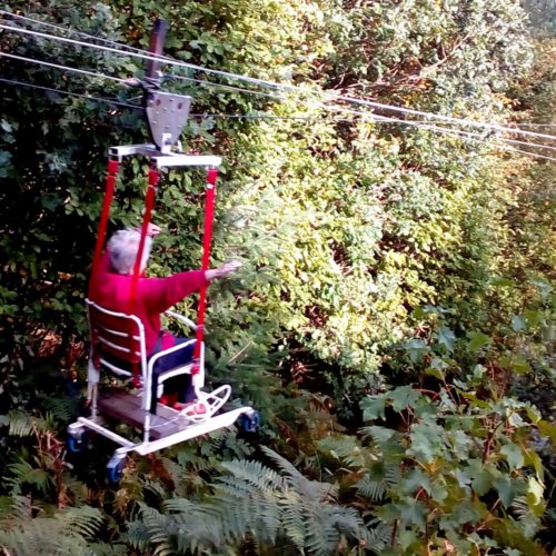 One person whizzing through the trees on a zip wire for wheelchair users