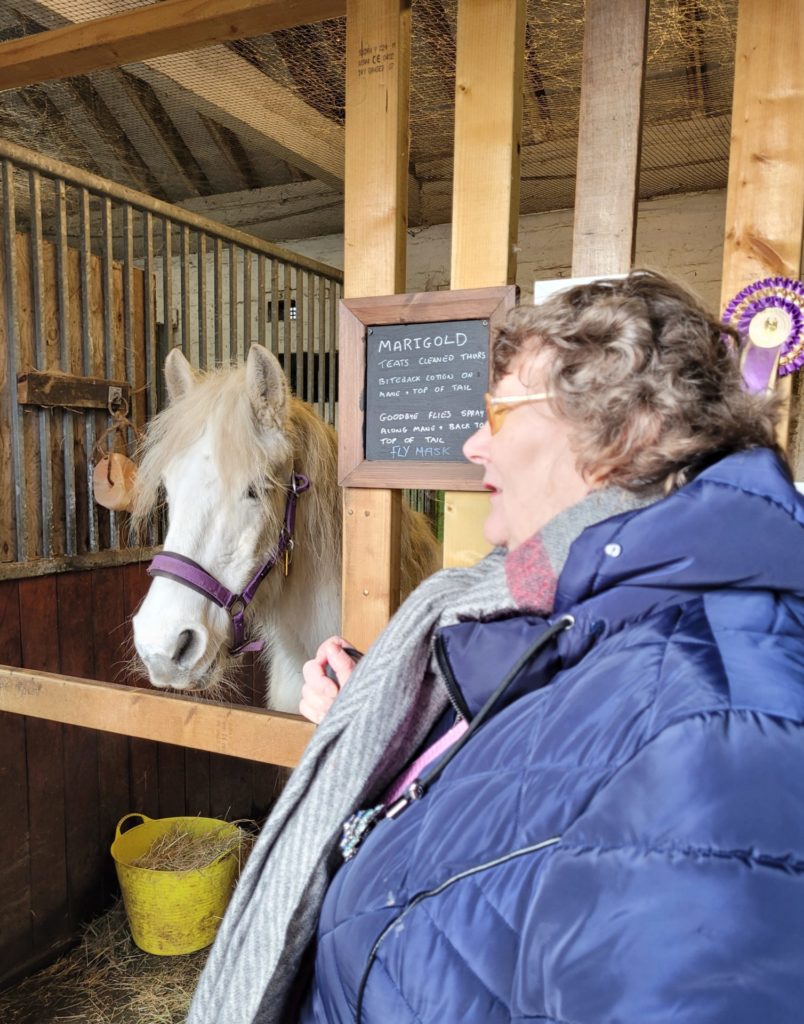 Jane visiting a horse in a stable 