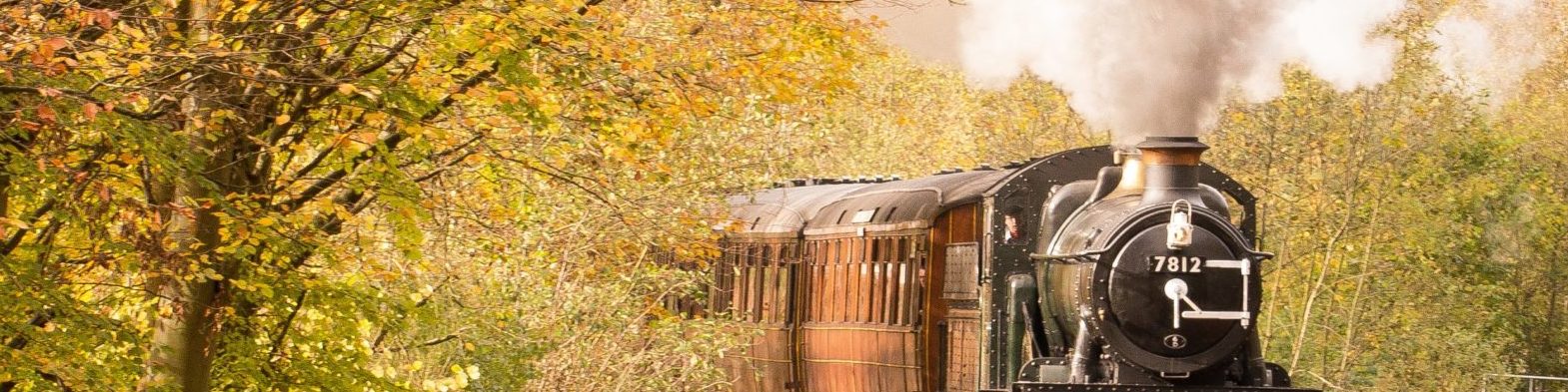 Steam train on a railway track surrounded by trees