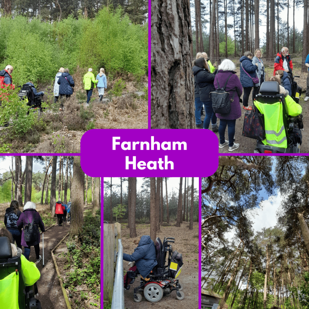 a collection of photos of staff and members exploring Farnham Heath