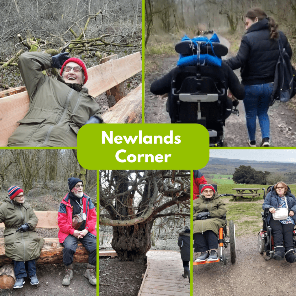 a collection of five photos of members and staff exploring Newlands Corner's pathways and benches.