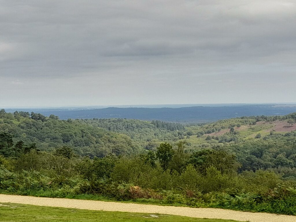 Far-reaching view of forests, fields and hills at Hindhead Commons. 