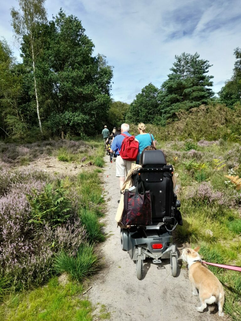 Coalition staff and members on a path in the heathland at Frensham Great Pond. 